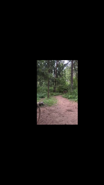 Bearing a Ring Around the Collar