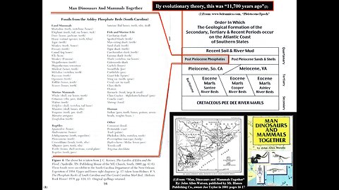 The Phosphate Beds of South Carolina (Part#4)