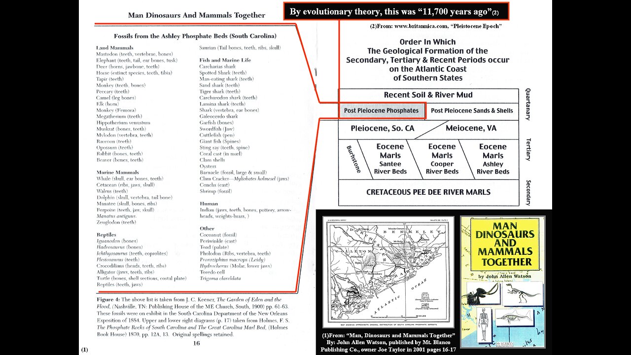 The Phosphate Beds of South Carolina (Part#4)