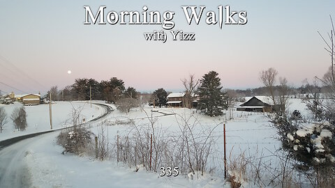 Morning Walks with Yizz 335