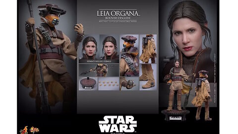 Star Wars Return of the Jedi Figure - Leia Organa (Boushh Disguise) 1/6 Scale [Hot Toys]