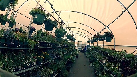 Cinematic Tiny Whoop GreenHouse Fly Through SHENANIGANS