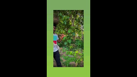 अगर तुम मिल जाओ