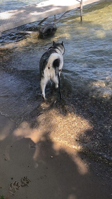 Sunday June 22, When you pray, go away by yourself.