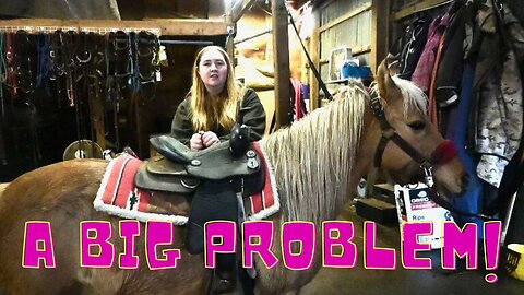 It's Time To RIDE But Our HORSE Has A Big PROBLEM!