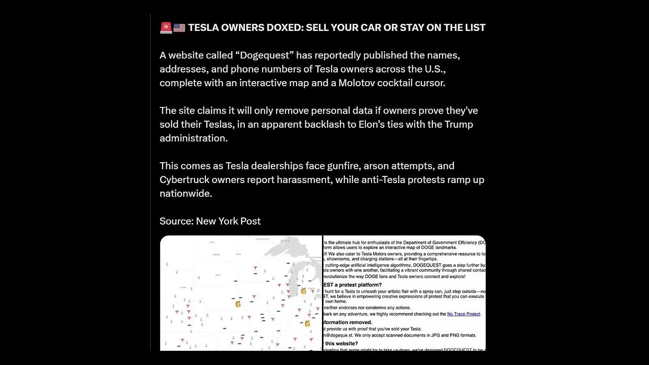 What Is Dogequest? Website Exposes Tesla Owners' Personal Data