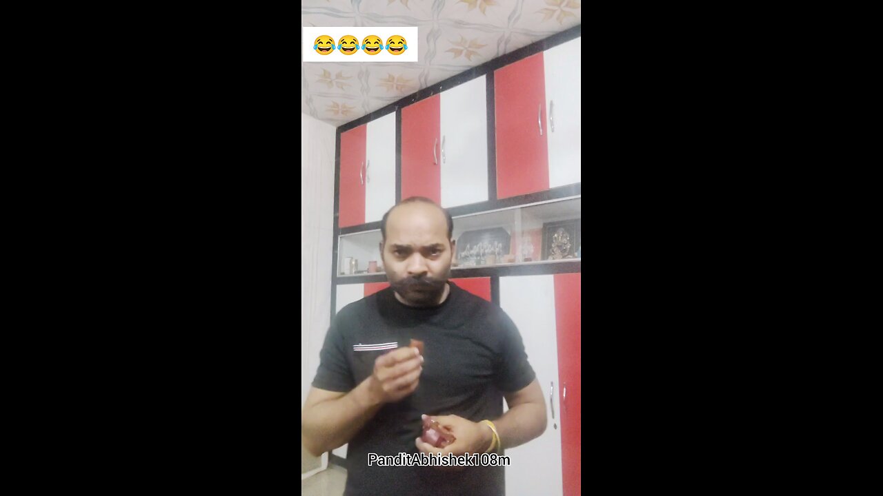 just for fun 🤣 don't do this with any animal