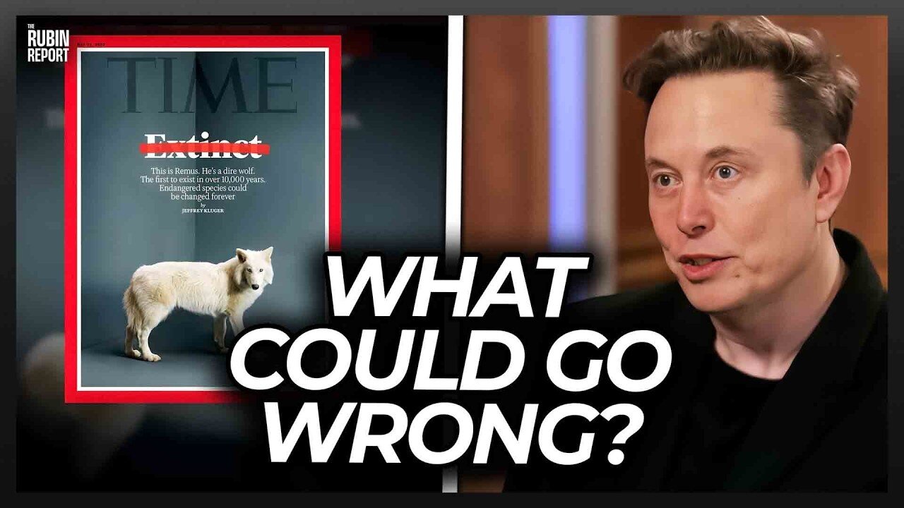 Elon Musk’s Reaction to Un-Extinct Dire Wolves Is Perfect