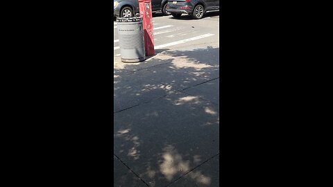 NY Predators Dept officers engaging in stalking and noise attacks as part of cognitive warfare.