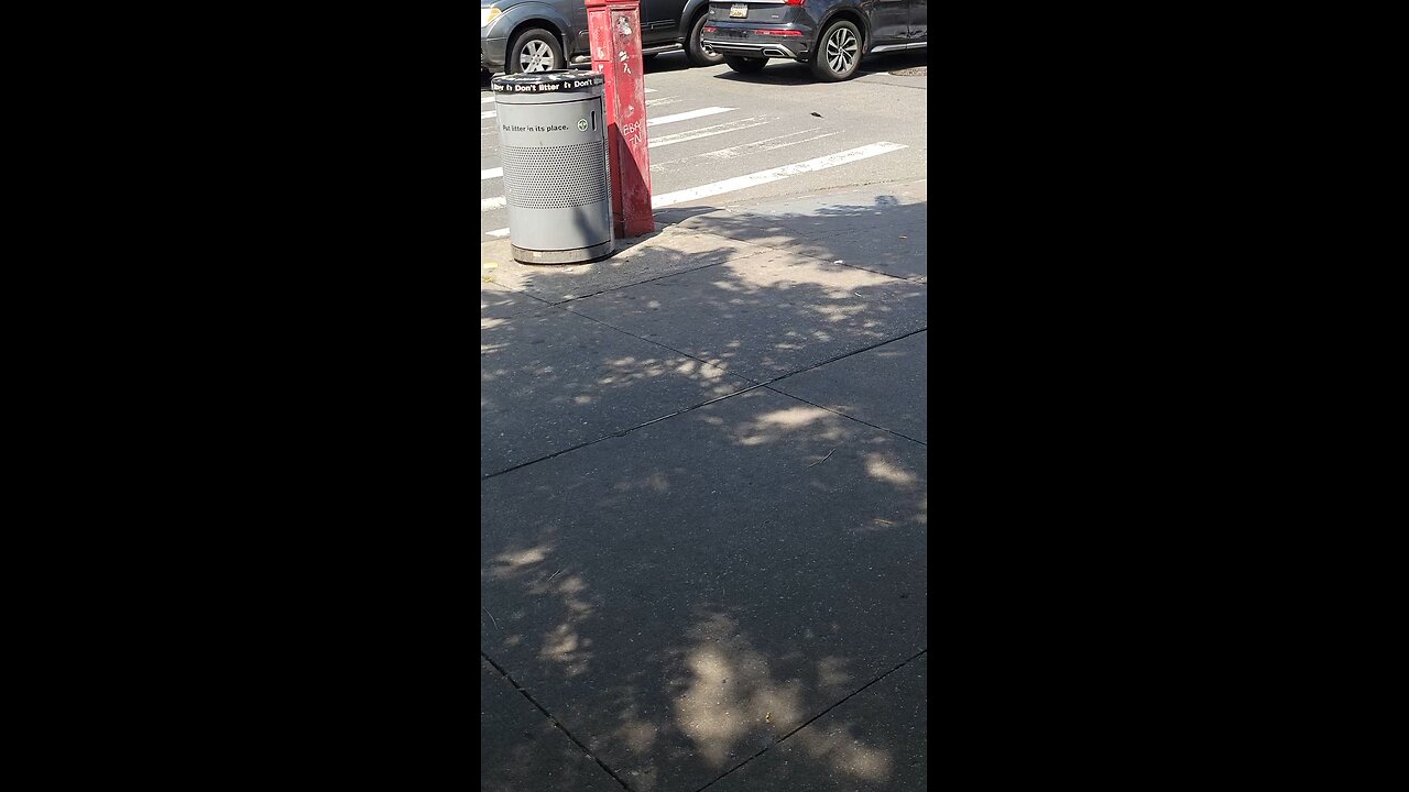 NY Predators Dept officers engaging in stalking and noise attacks as part of cognitive warfare.