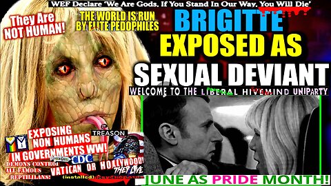 Flight Attendant Leaks Footage Proving 'Predatory' Brigitte Macron is Biologically Male (compilation