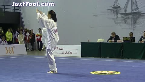 Taijiquan championship (2014)