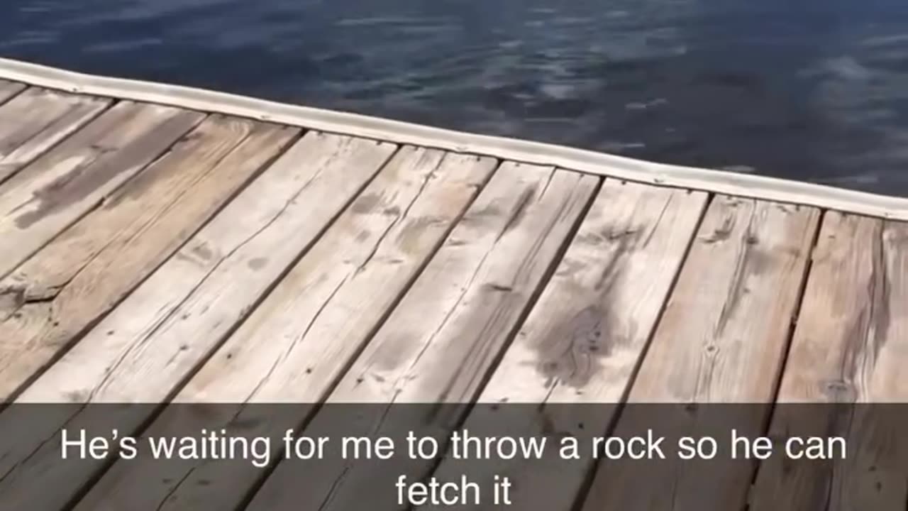 Throw it!