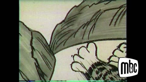 1961 TIGER PAWS