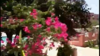 Ethradon Awakening 2