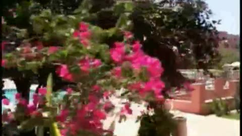 2005 Ethradon Awakening 2