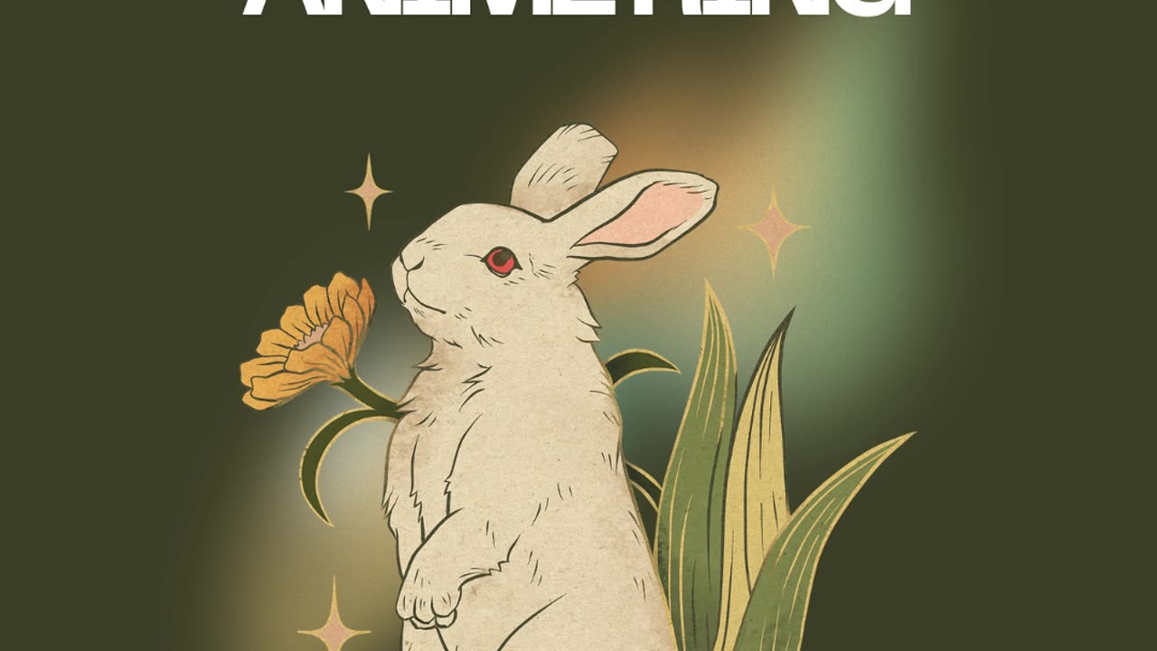 gizmo051-anime ring [Official Video]