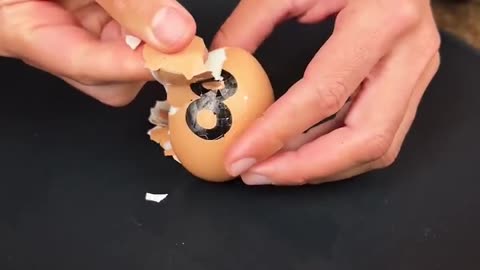 Every Egg Texture IMAGINABLE: 2-60 Minute Boil Test!