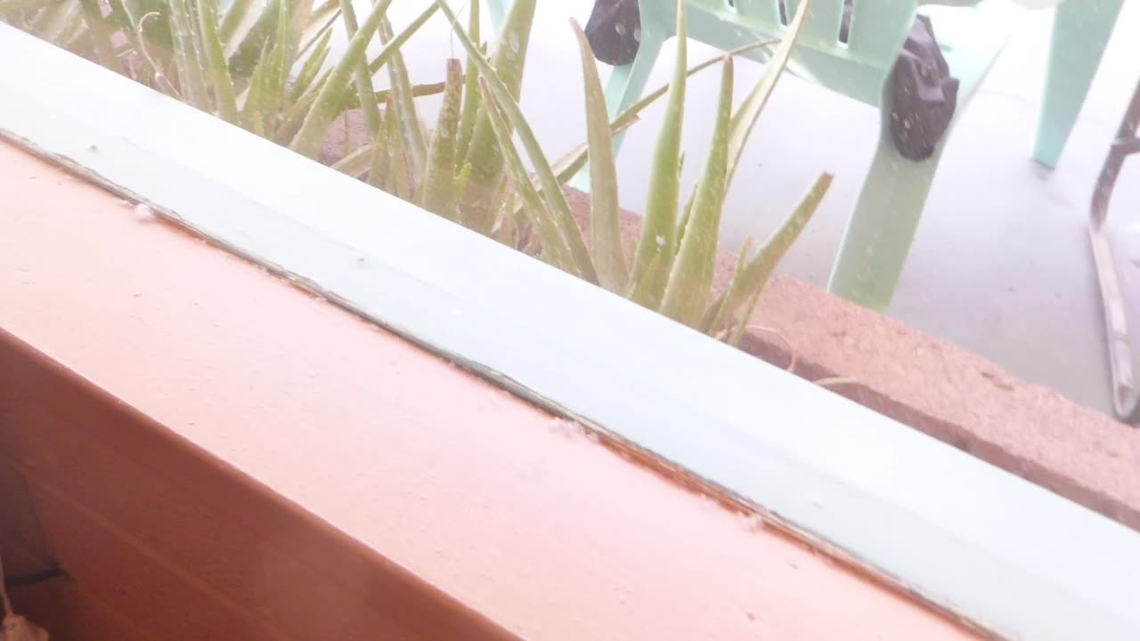 Random shot of the window pane