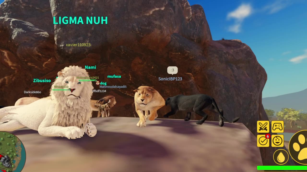 dancing lio on the rock