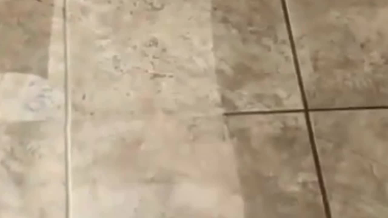 Best Tile & Grout Cleaning in Turlock, CA