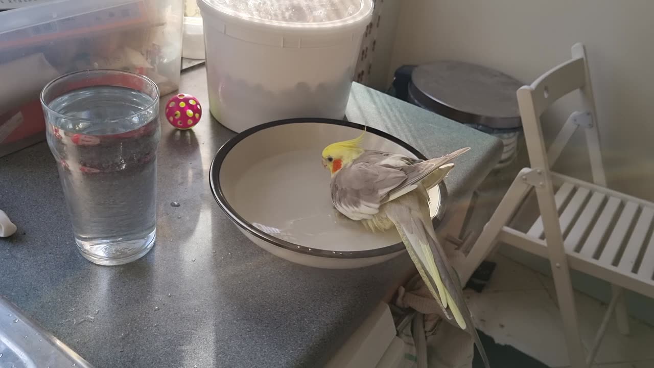 A Very Sedate Bath Time