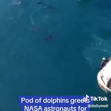 A Pod of Dolphins Greets the Stranded Astronauts Upon Splashdown
