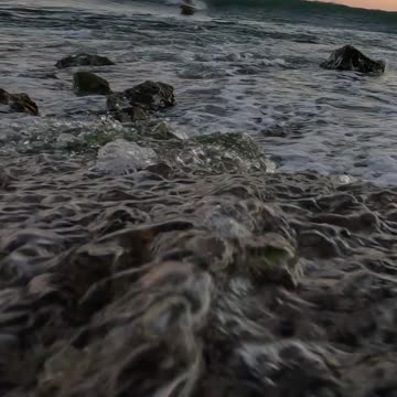 Dry Reef SURFER View - If you know, you know #surf #waves #water #veiws #4k