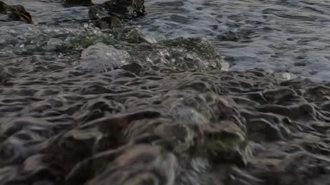 Dry Reef SURFER View - If you know, you know #surf #waves #water #veiws #4k