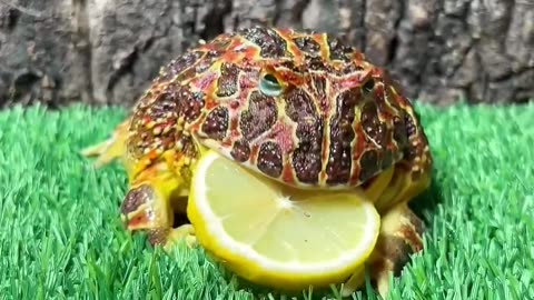 cute