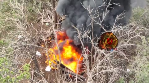 Sappers of the 123rd Brigade Destroy Ukrainian Strongpoints