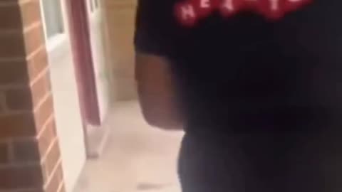 Sheboon smashes neighbours windows who's not home