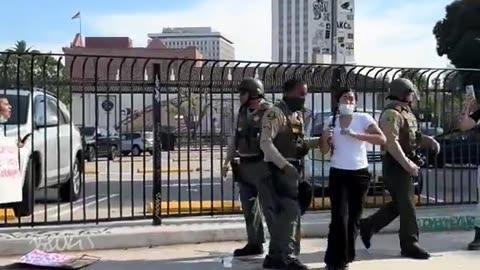 Anybody else love seeing anti ICE protesters wearing masks outside get arrested?