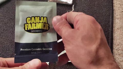 Mail Call! Unboxing Beans From Ganja Farmer Seed Bank In Poland!