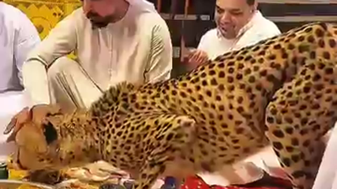 Dubai sheikh's lifestyle