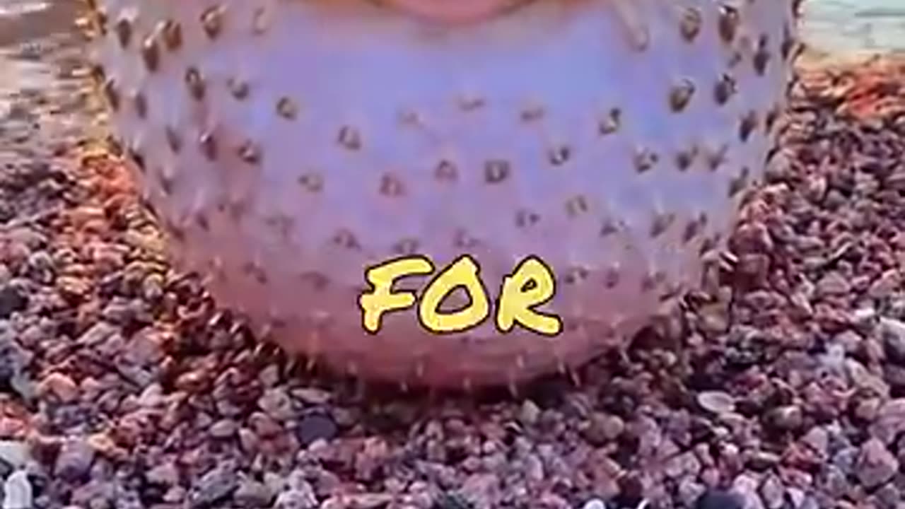 Don't touch me, it's different here
