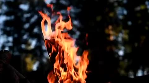 Campfire Wood cracking, birds & Light Piano Sound