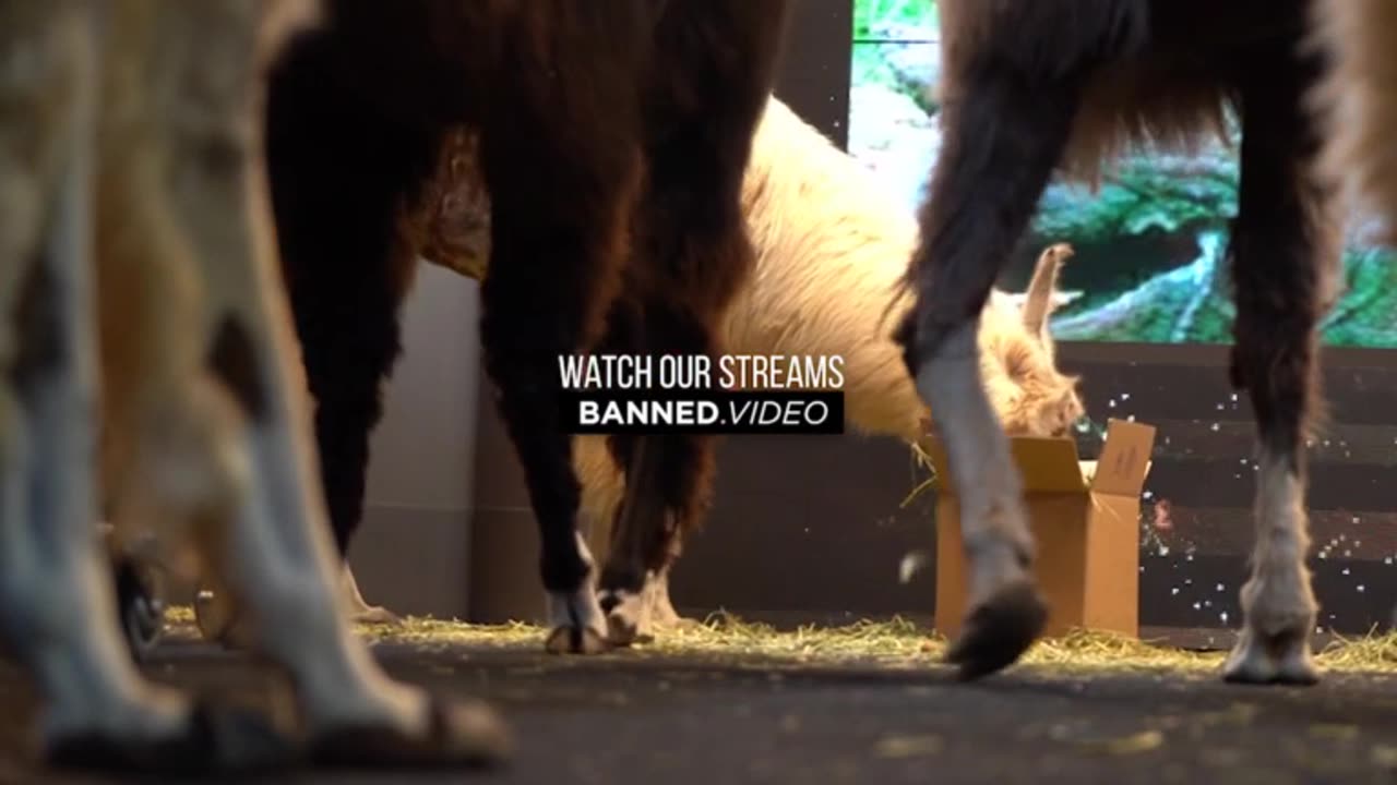 IW Archives 2019 Oct 06