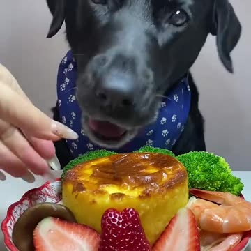 The temperature is rising again, let's cook!