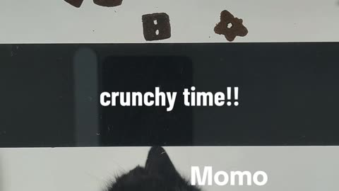 Crunchy Timee!!
