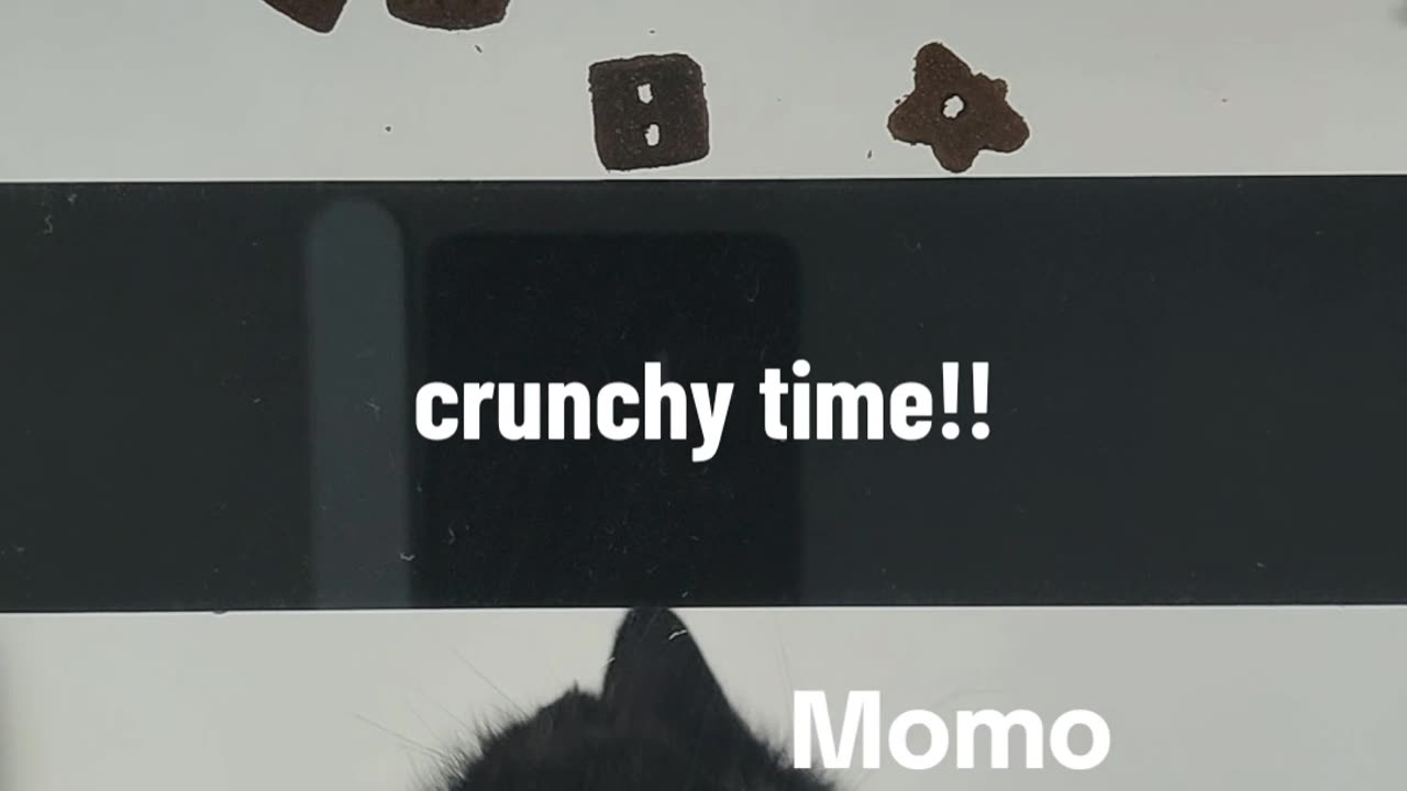 Crunchy Timee!!