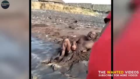 Animal funny videos