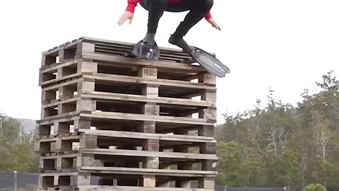 If animals did Parkour 😂 Part 4