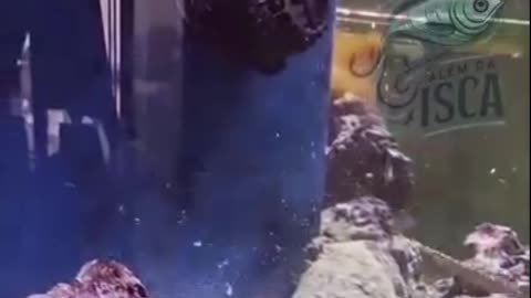 Dost thoda bachke Raha karo Dushman koi bahar ka nahin hota