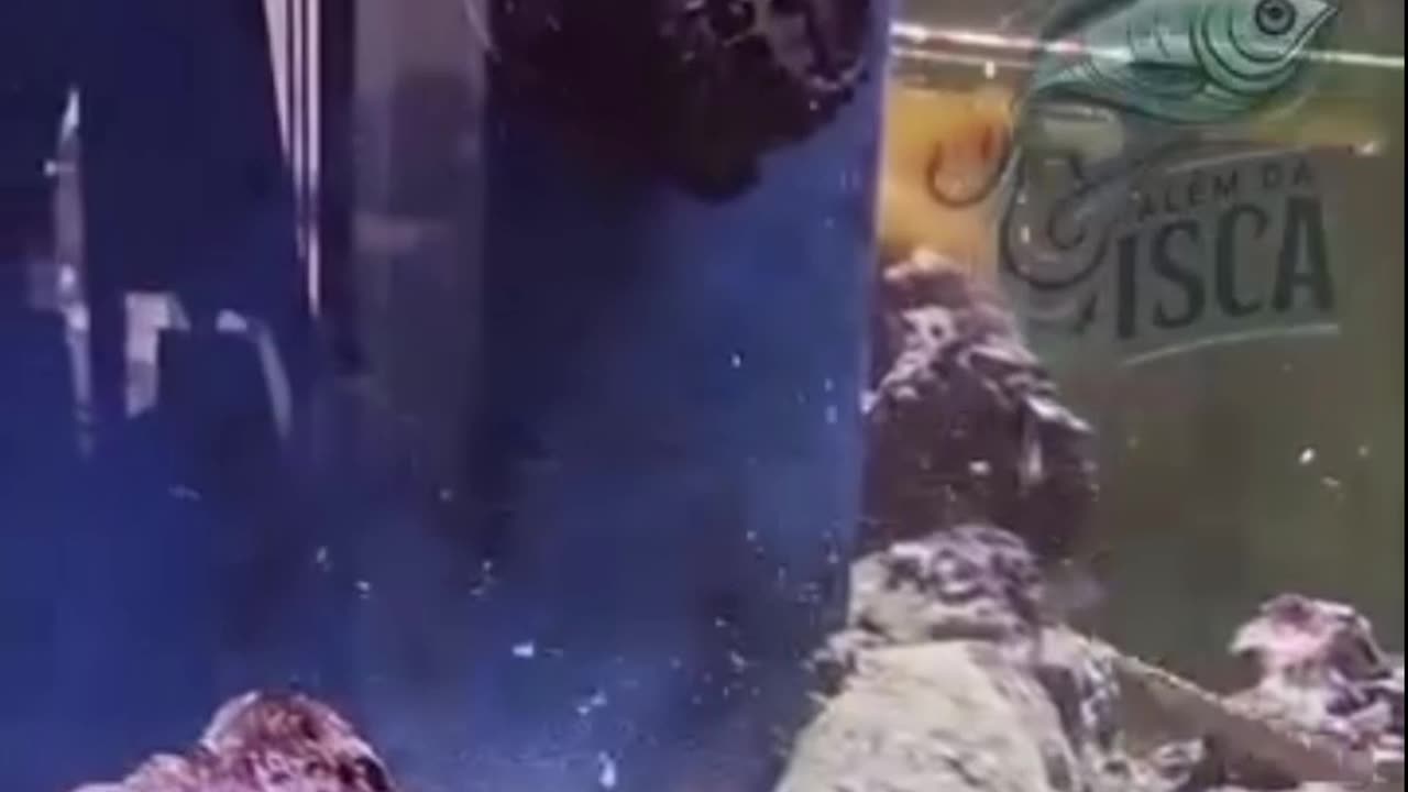 Dost thoda bachke Raha karo Dushman koi bahar ka nahin hota