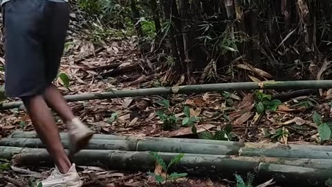 Solo bushcraft and camping HAevy Rain building bamboo cabin at wild