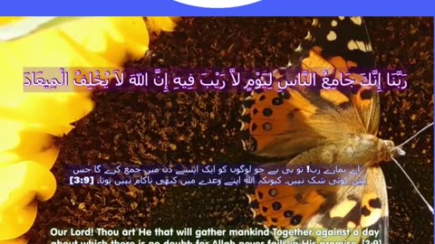 40 Rabbana Duas (Dua no 9)