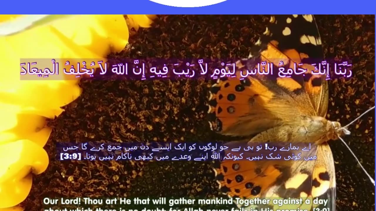 40 Rabbana Duas (Dua no 9)