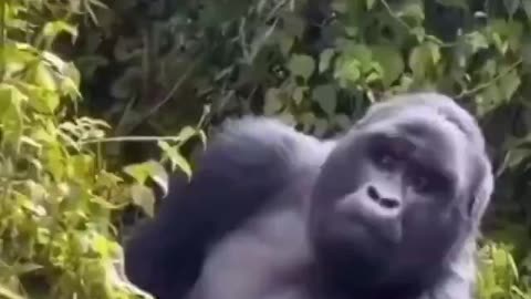 304