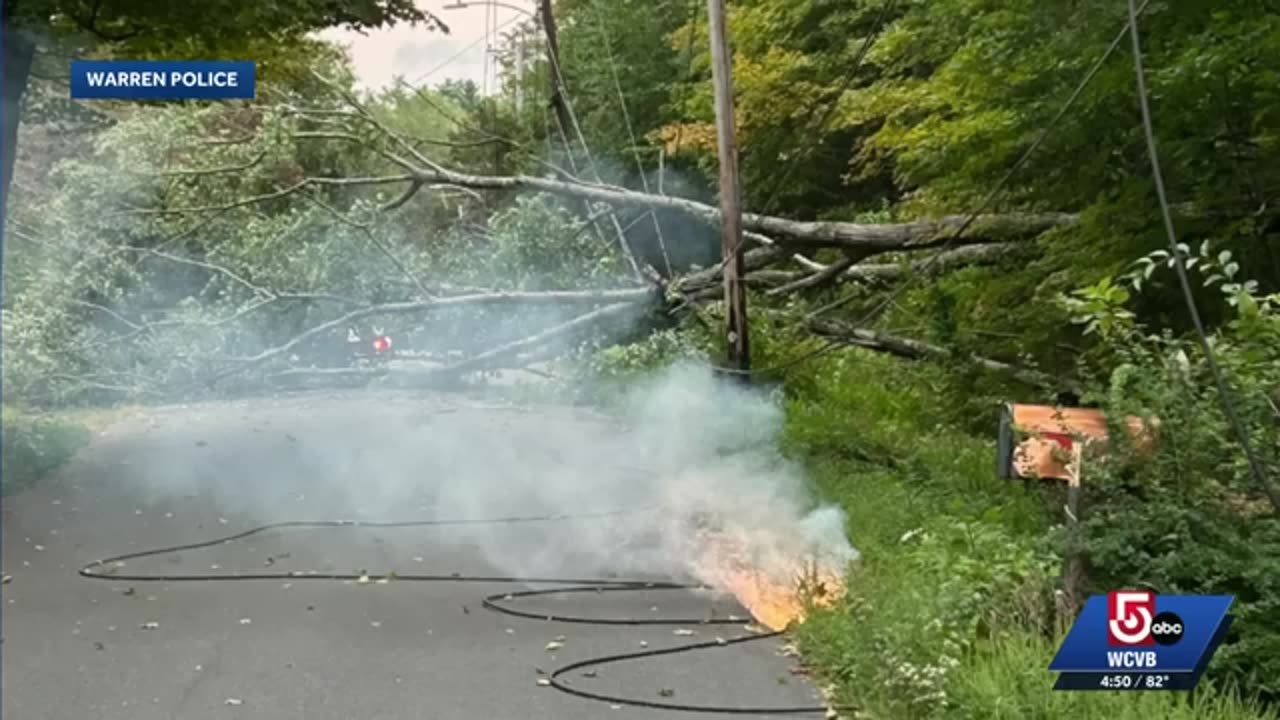 Downed trees, hail as storms move through